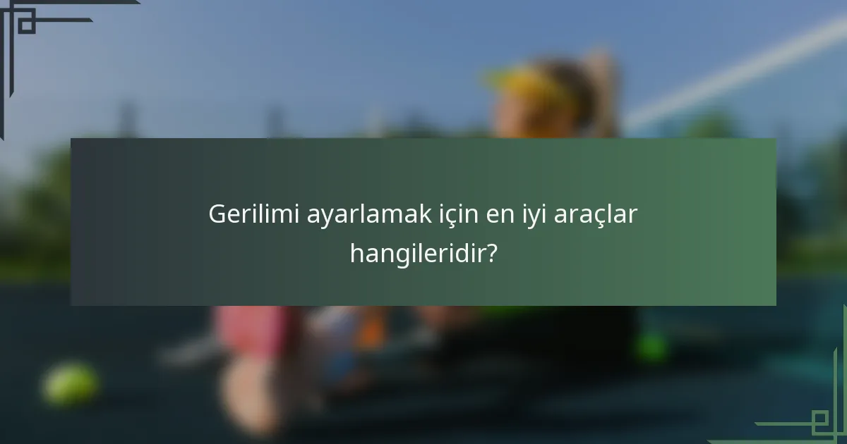 Gerilimi ayarlamak için en iyi araçlar hangileridir?