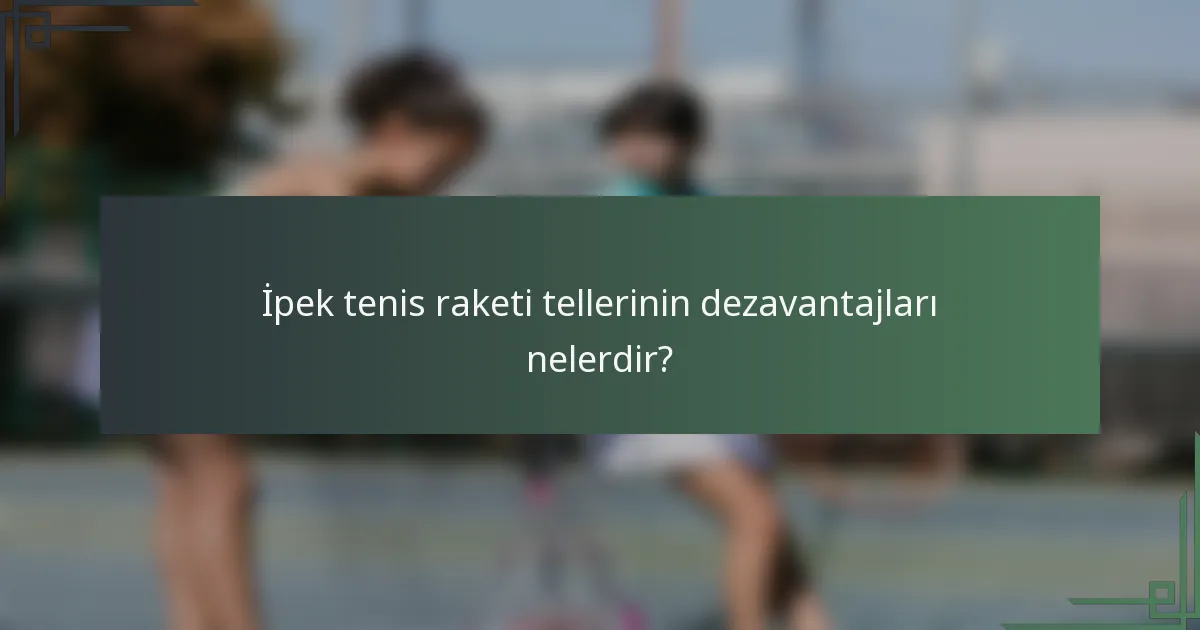 İpek tenis raketi tellerinin dezavantajları nelerdir?